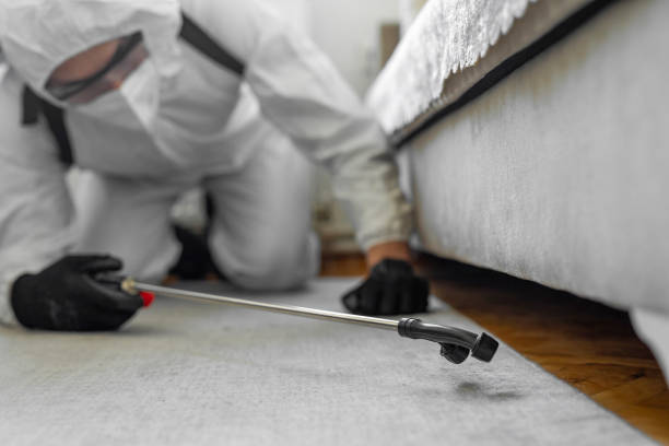 Professional Bed Bug Control technician working in Freeland, WA