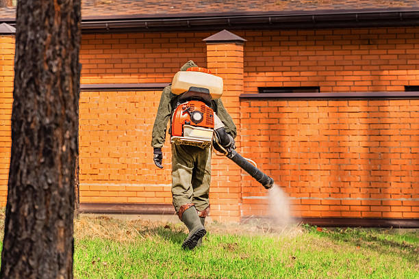 Trusted Mosquito Control service in Freeland, WA - Nex Pest Control